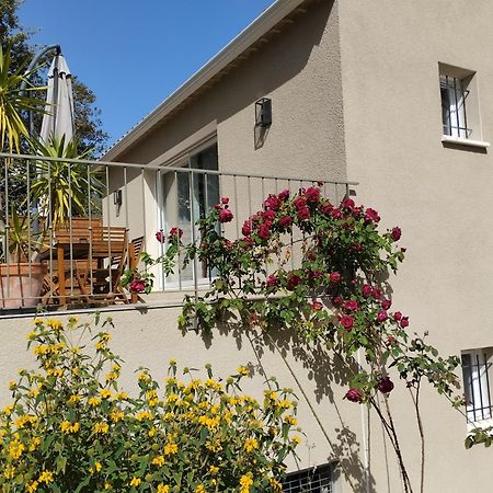 Charmante Maison Avec Jardin Aux Portes Des Gorges De L'Ardeche Saint-Julien-de-Peyrolas المظهر الخارجي الصورة